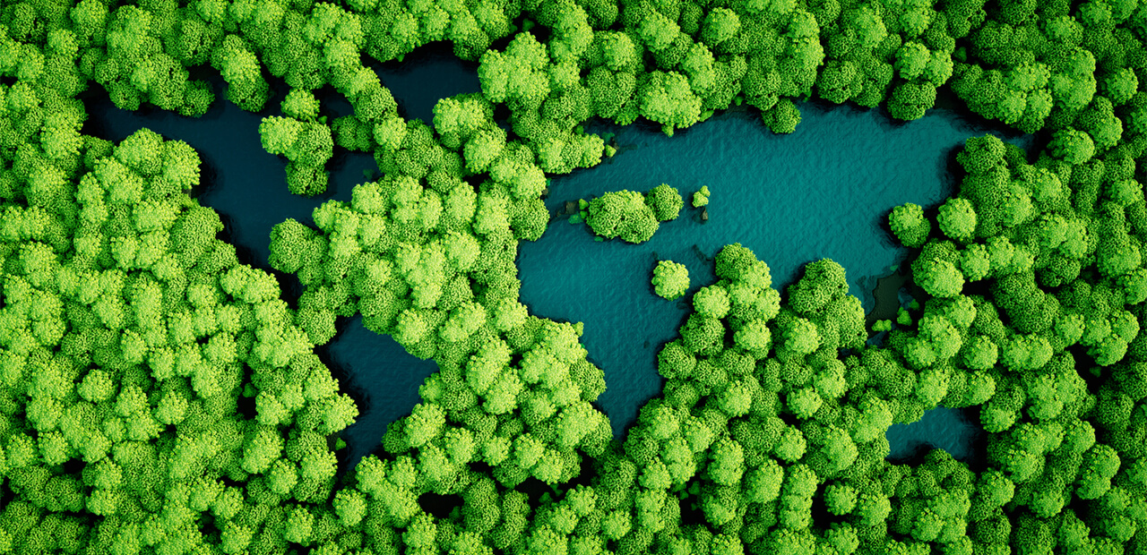 <h2>We are a company committed to the environment</h2>

